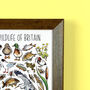 Lake Wildlife Of Britain Wildlife Print, thumbnail 9 of 9