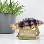 Build Your Own Personalised Ankylosaurus, thumbnail 6 of 9