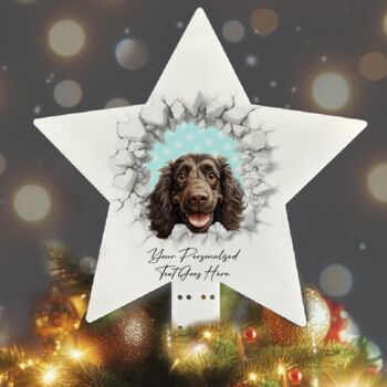 Personalised Christmas Boykin Spaniel Break Through, 9 of 10