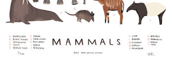 Personalised Mammals Print, 6 of 7