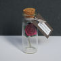 Miniature Personalised Paper Tea Rose Gift, thumbnail 9 of 12