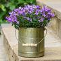 Set Of Two Country Style Embossed Garden Planters, thumbnail 4 of 10
