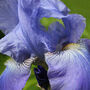 'Purples' Photography Assorted Pack Of Cards, thumbnail 7 of 10