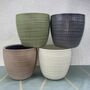 Ceramic Planter And Plant, Perfect Wedding Gift, thumbnail 2 of 12