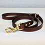 Personalised Leather Dog Lead, thumbnail 1 of 6