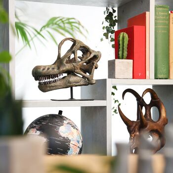 Brachiosaurus 3D Dinosaur Skull Model Replica, 2 of 5