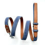 Blue Leather Dog Lead, thumbnail 1 of 6