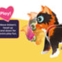 Build Your Own Personalised Kitten, thumbnail 4 of 11
