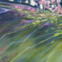 One Enchanted Summer, thumbnail 8 of 9