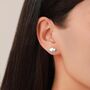 Sterling Silver Opposum Stud Earrings, thumbnail 6 of 12