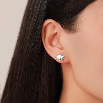 Sterling Silver Opposum Stud Earrings, 6 of 12