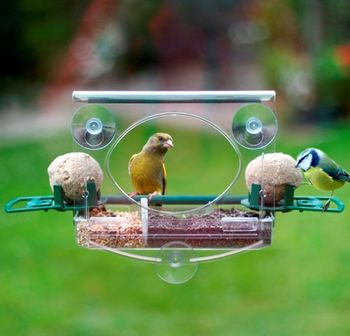 deluxe window bird feeder by garden selections | notonthehighstreet.com