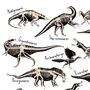 Dinosaur Fossils Print, thumbnail 3 of 8