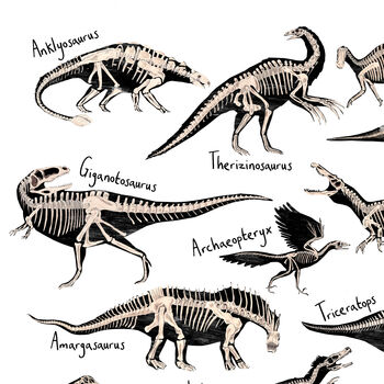 Dinosaur Fossils Print, 3 of 8
