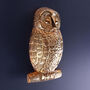 G Decor Golden Owl Polished Brass Door Knocker, thumbnail 4 of 4