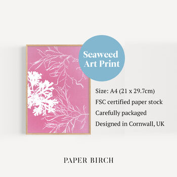 Pink Seaweed Art Print, 6 of 6