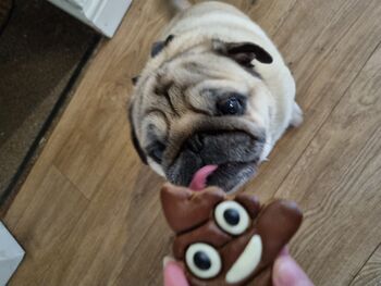 Poop Emoji Biscuit, 2 of 7