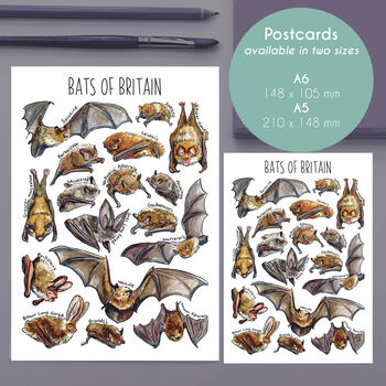 Bats Of Britain Watercolour Postcard, 2 of 8
