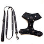 Long Paws Funk The Dog Harness Night Sky, thumbnail 5 of 5