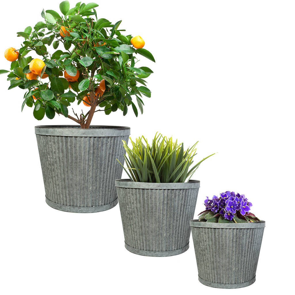 Set Of Three Large Bucket Planters By Dibor