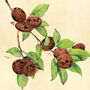 Cookies Botanical Print, thumbnail 8 of 10
