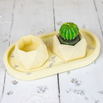 Pink Jesmonite Mini Planters And Tray, 6 of 10