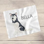 Personalised Husky Glasses Cleaning Cloth, thumbnail 1 of 2
