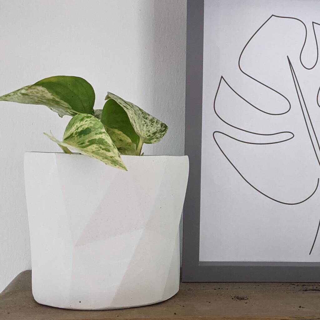 Handmade Geometric Plant Pot By Four Homeware