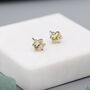 Natural Yellow Citrine Stud Earrings In Sterling Silver, thumbnail 7 of 11