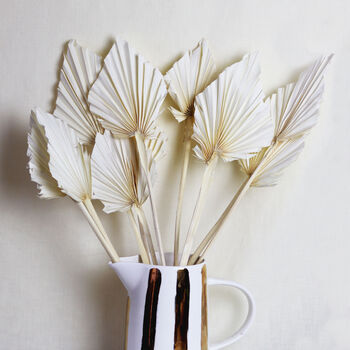 Bleached Dried Exotic Palm Spear Bunch, 2 of 5