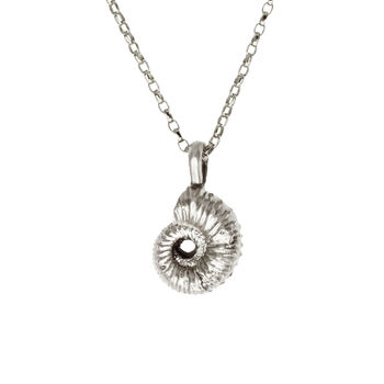 Silver Ammonite Necklace, 2 of 2