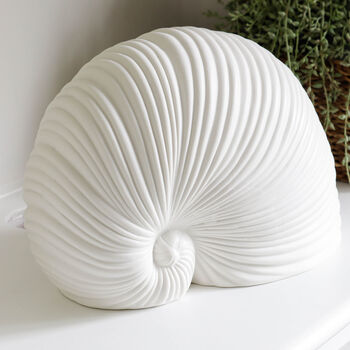 Large White Shell Ornament, 4 of 4