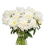 Fresh Handmade White Peonies Bouquet, thumbnail 3 of 3