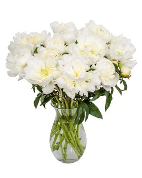 Fresh Handmade White Peonies Bouquet, 3 of 3