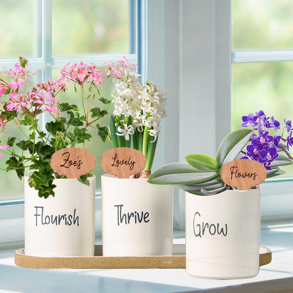 Personalised Three Ceramic Flower Planters By Dibor