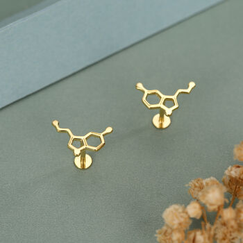 Sterling Silver Serotonin Molecule 16 G Flat Back Labret Earrings, 4 of 12