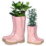 Personalised Pink Welly Boot Planters Gift Set, thumbnail 2 of 11