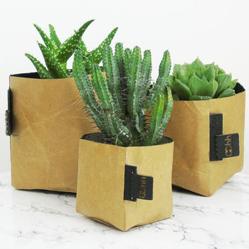Natural Creased Paper Planter, 2 of 6