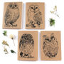 A6 Owl Notebook Choice Of Four Designs, thumbnail 1 of 8