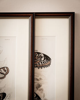 Framed Set Of Two Vintage Butterfly Art Prints, 9 of 9