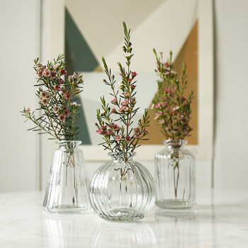 Clear Glass Bud Vase Set Of Three, 2 of 3