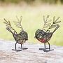 Set Of Two Small Wire Winged Robin Decorative Ornament, thumbnail 3 of 5