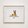 Christmas Gift For Pet Lovers – Personalised Pet Portrait Hand Drawn From Photo, Dog, Cat Or Horse Illustration, thumbnail 7 of 11