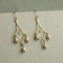 Freshwater Pearl Gold Chandelier Earrings, thumbnail 3 of 5