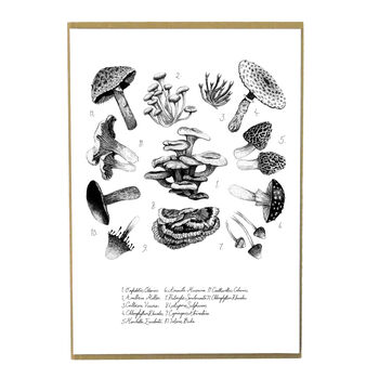 Mushroom Art Print, 2 of 8