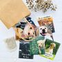 Labrador Lovers Tea Gift Set, thumbnail 3 of 12