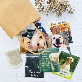 Labrador Lovers Tea Gift Set, 3 of 12
