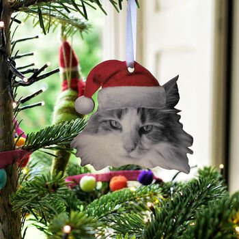 Personalised Pet Christmas Tree Decoration, 8 of 10