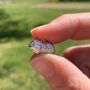 Sterling Silver Long Haired Guinea Pig Charm, thumbnail 1 of 9