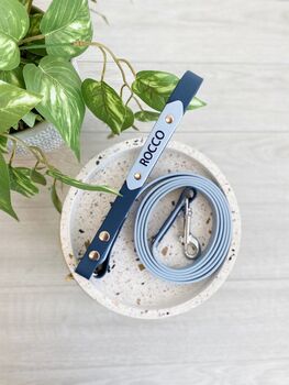 Design Your Own Biothane Dog Lead, 8 of 10